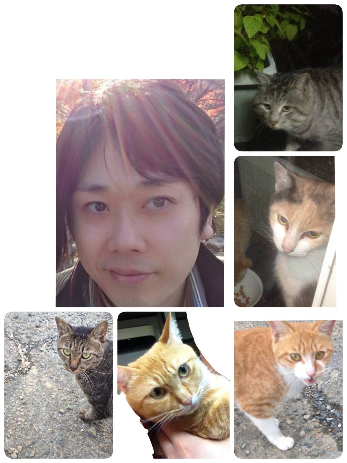 ねこ,司法書士,坂崎徳夫,玉名,不動産