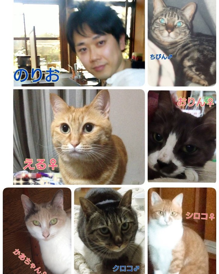 司法書士,坂崎,熊本,玉名